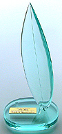 Jade Acrylic Surfboard